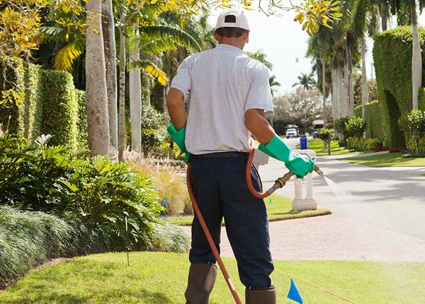 About New London TX Pest Control Pros